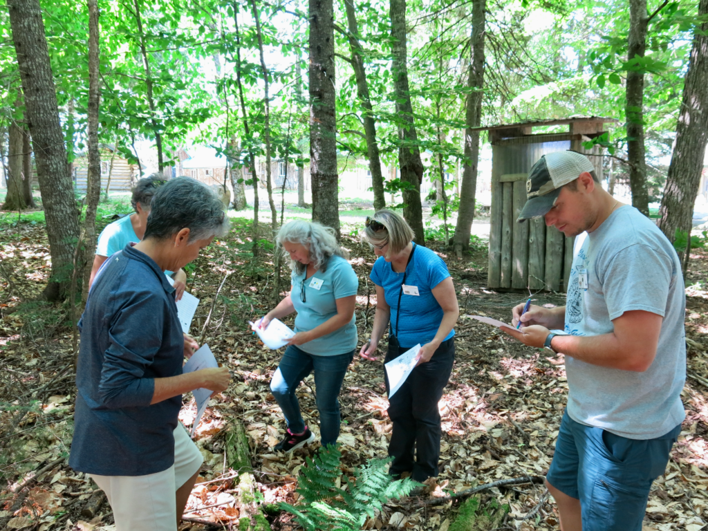 Teachers investigating a forest floor while learning techniques for using a forest as a classroom